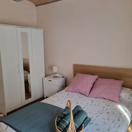 El Niu Dels Ocells Διαμέρισμα Sant Joan de les Abadesses Εξωτερικό φωτογραφία