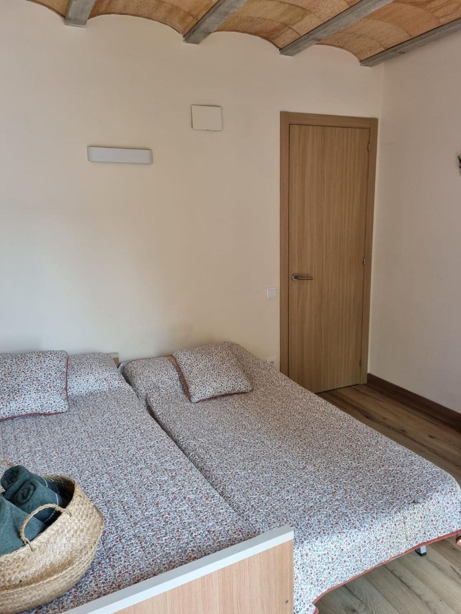 El Niu Dels Ocells Διαμέρισμα Sant Joan de les Abadesses Εξωτερικό φωτογραφία